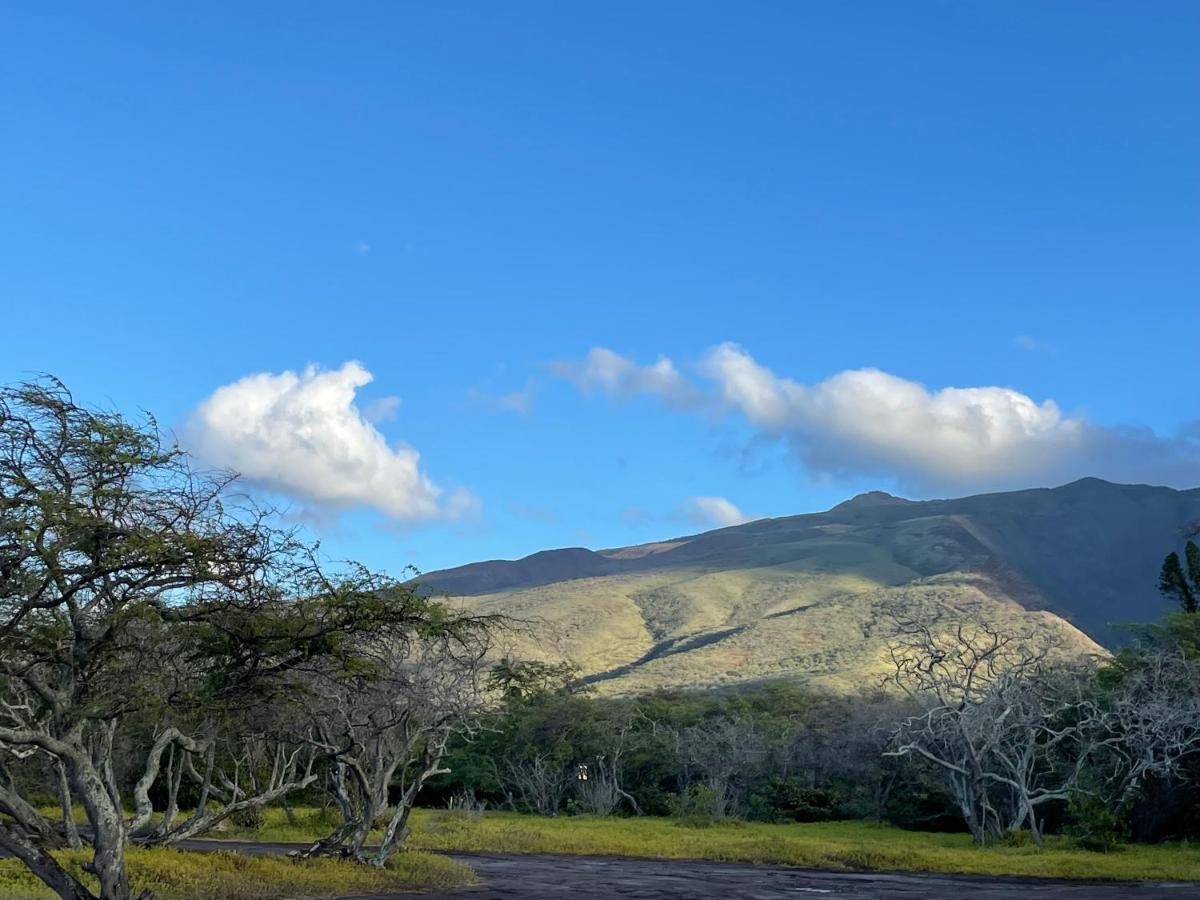 Ka Hale Kealoha Appartement Kaunakakai Buitenkant foto