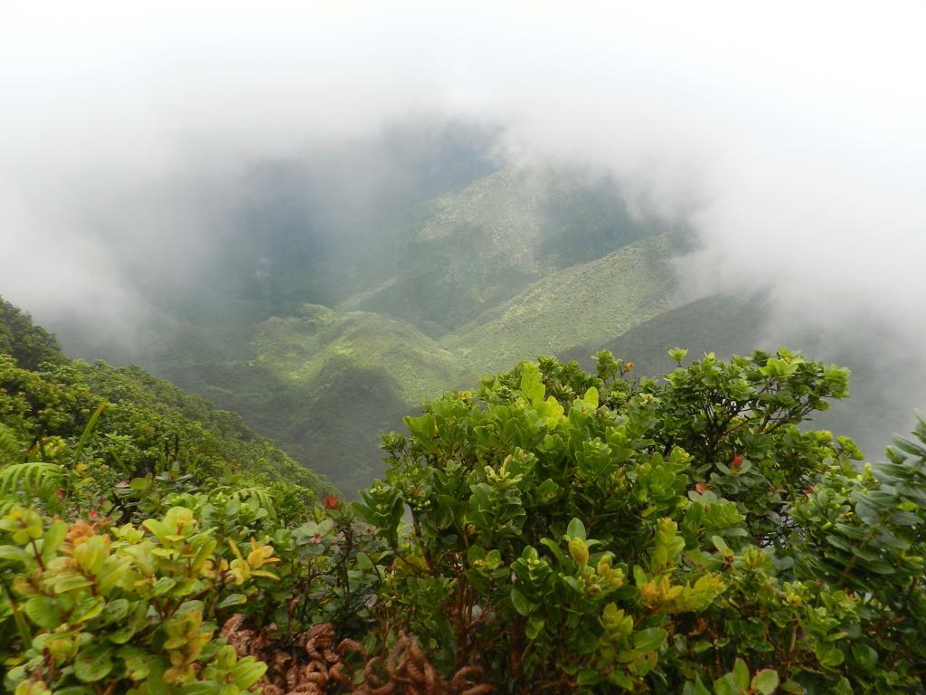 Ka Hale Kealoha Appartement Kaunakakai Buitenkant foto